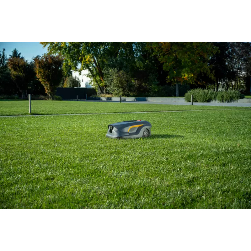 A50v_2R9113028_amb09_web